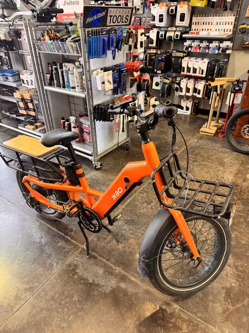 Phat Tire Bike Shop storefront