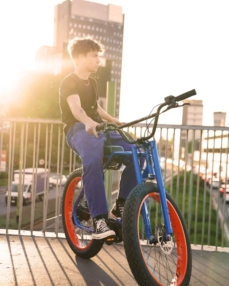 Timeless eBikes Corp. - Ruff Cycles eBikes Distributor storefront