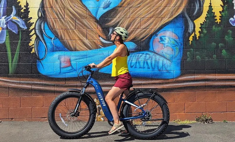 E-Bikes of Missoula, LLC storefront