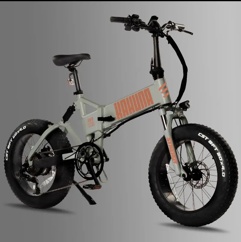 Vintage Iron Cycles - Electric Bikes & Electric Scooters storefront