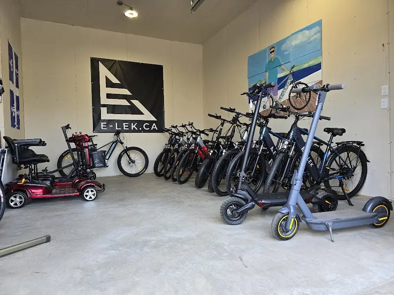 E-LEK storefront