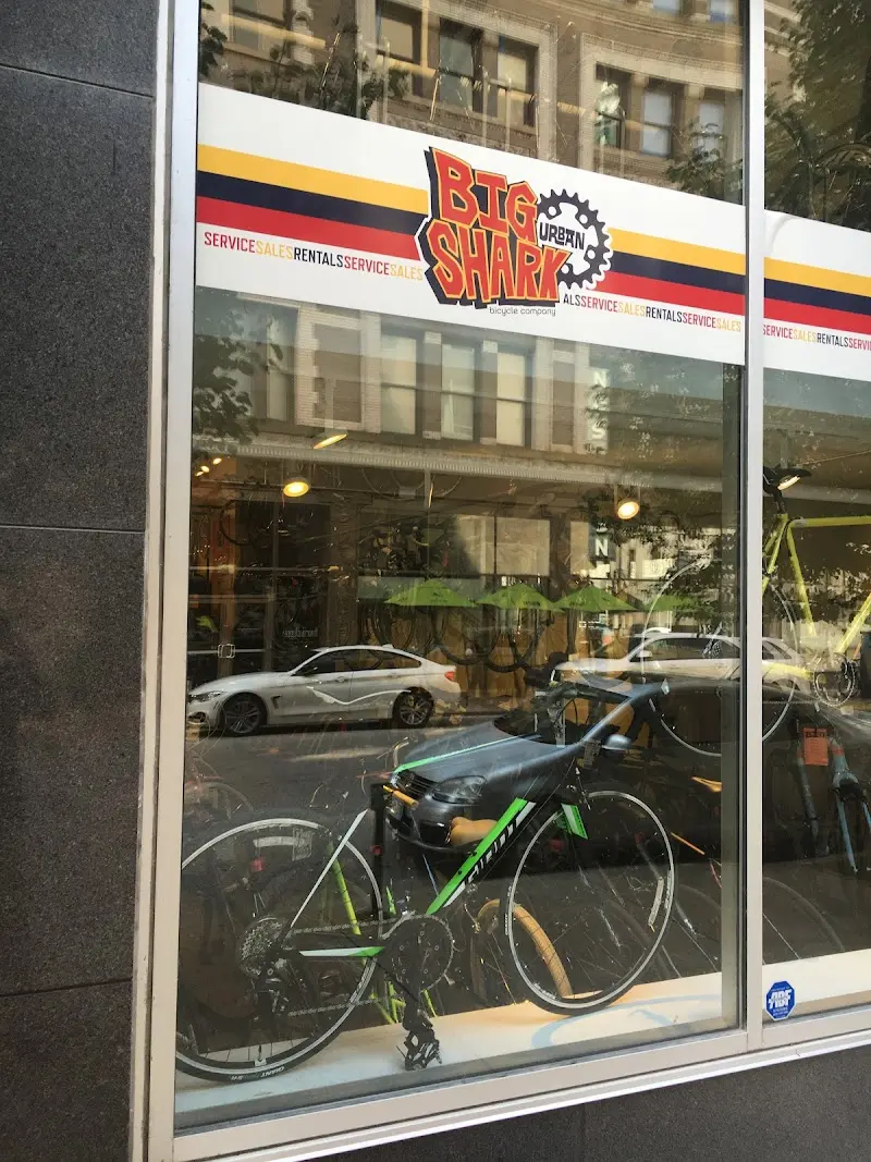 Urban Shark Bicycle Co. / Big Shark Bicycle Co. - Urban storefront