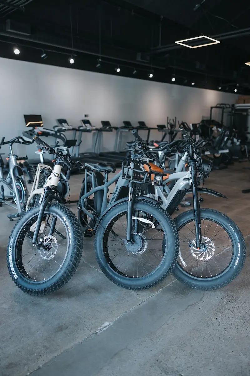 Vintage Iron Cycles - Electric Bikes & Electric Scooters storefront