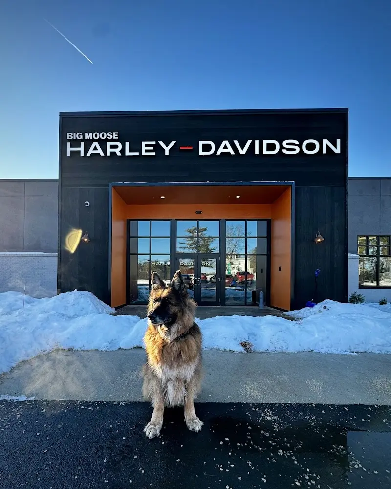 Big Moose Harley-Davidson storefront