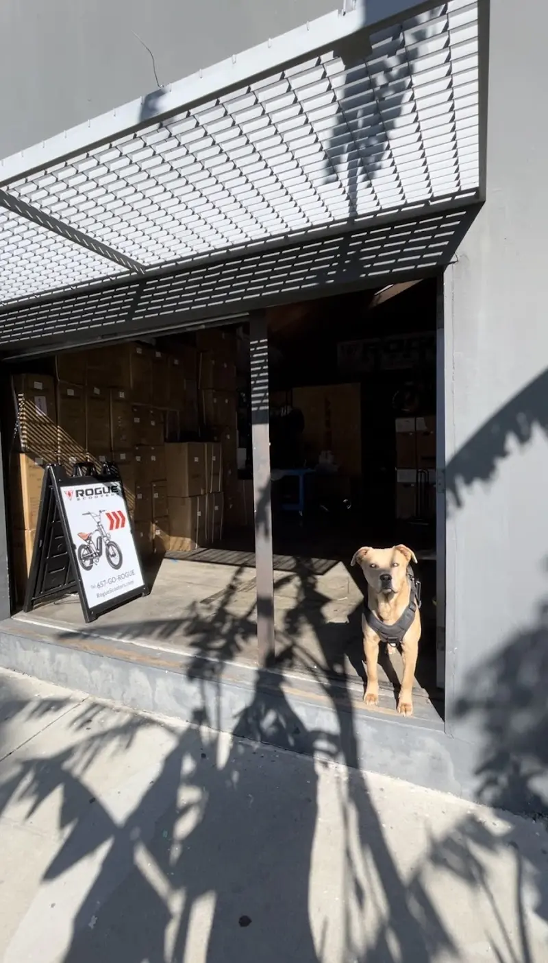 Rogue Scooters - Sales and Repair - Electric Scooter Service Center storefront