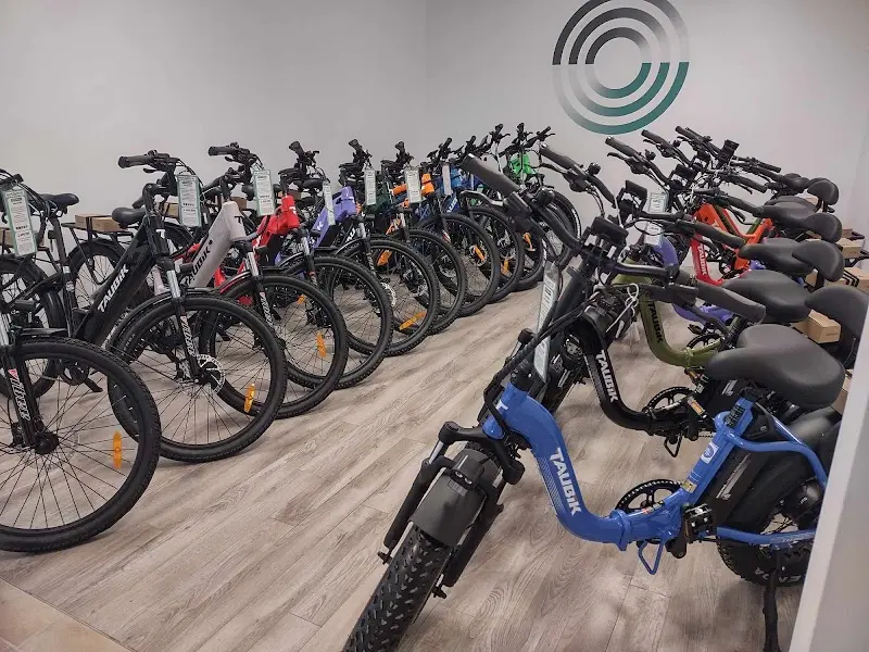 Ecolectrik storefront