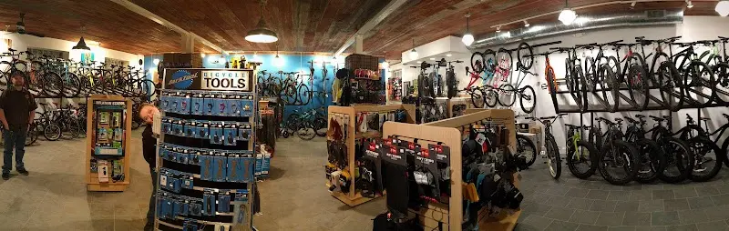 Trail This Bicycle Shop storefront