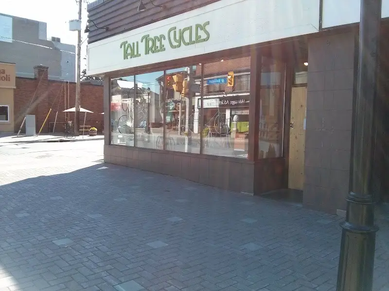 Tall Tree Cycles storefront
