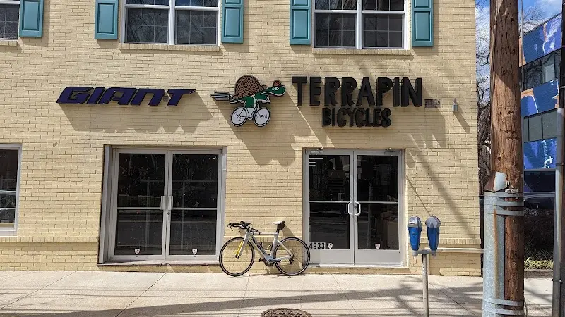 Terrapin Bicycles storefront