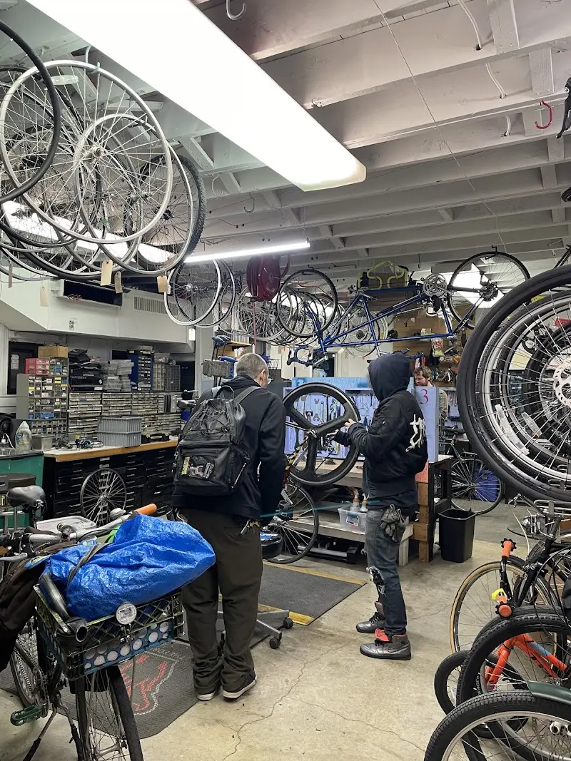 Velocipede Bike Project storefront
