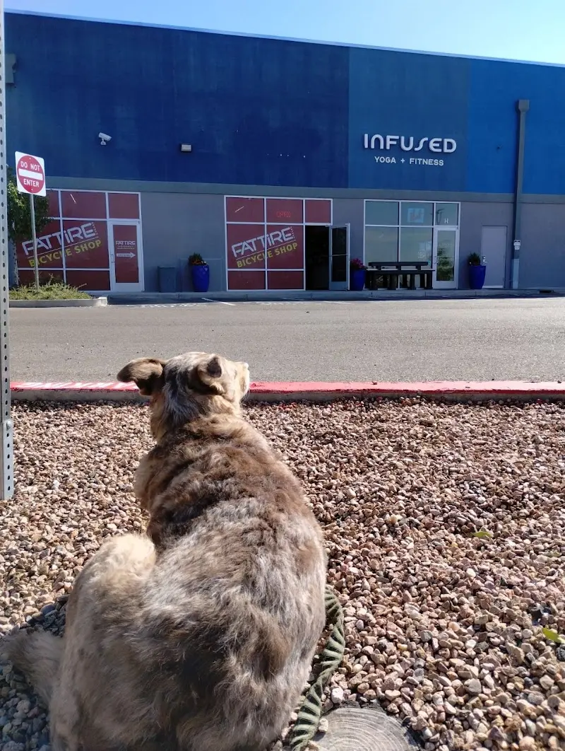 Fat Tire Cycles - Foothills storefront