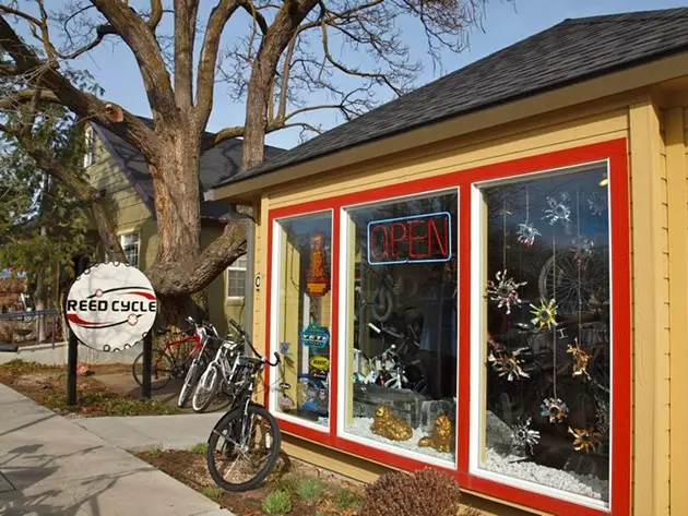 Reed Cycle Inc. storefront