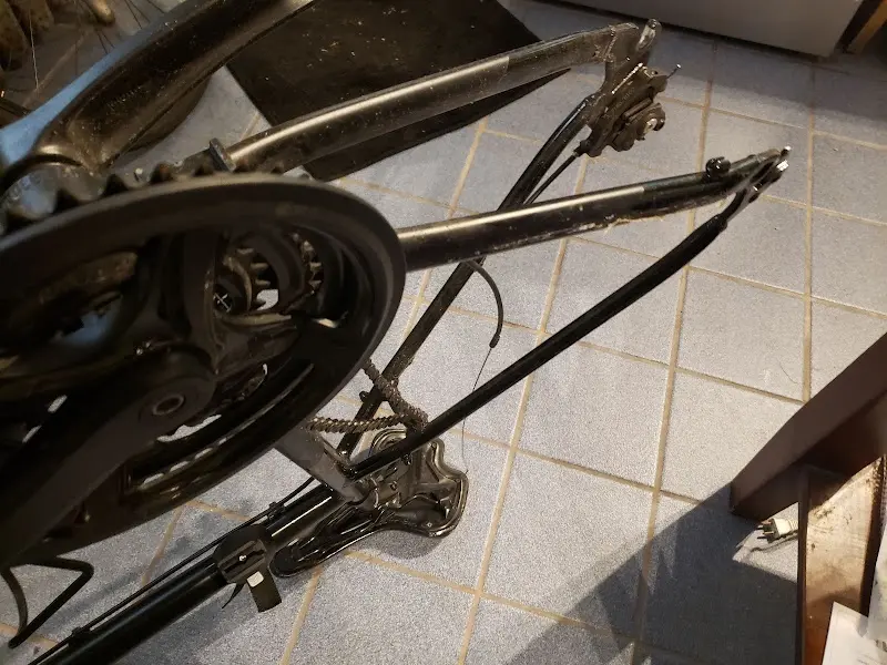 Tune-Up Bike Shop storefront