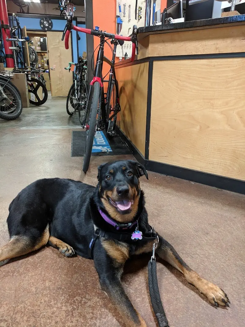 Western Bikeworks storefront