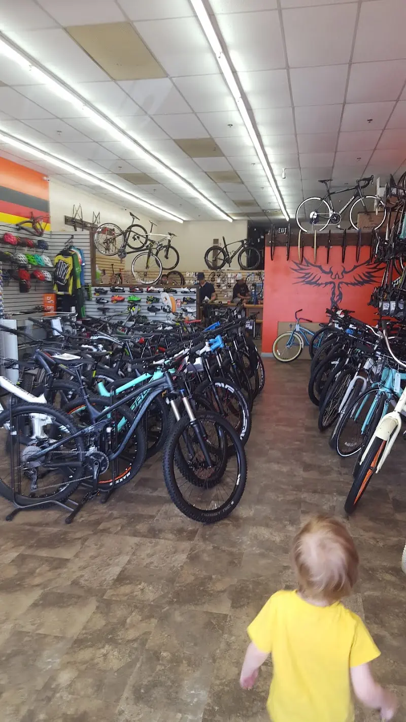 Fenix Cycling storefront